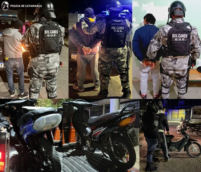 Controles vehiculares