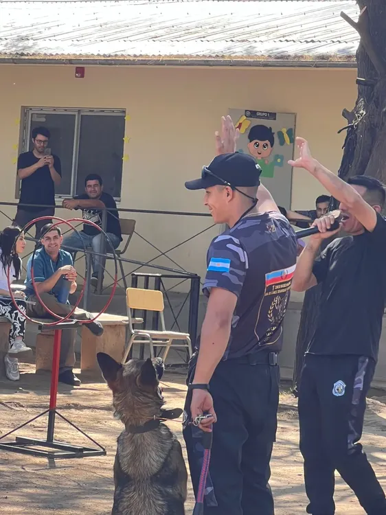 Exhibición Div. Canes (4)