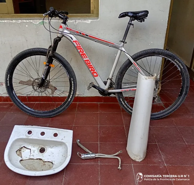 Cria. Tercera - Aprehensión y secuestro