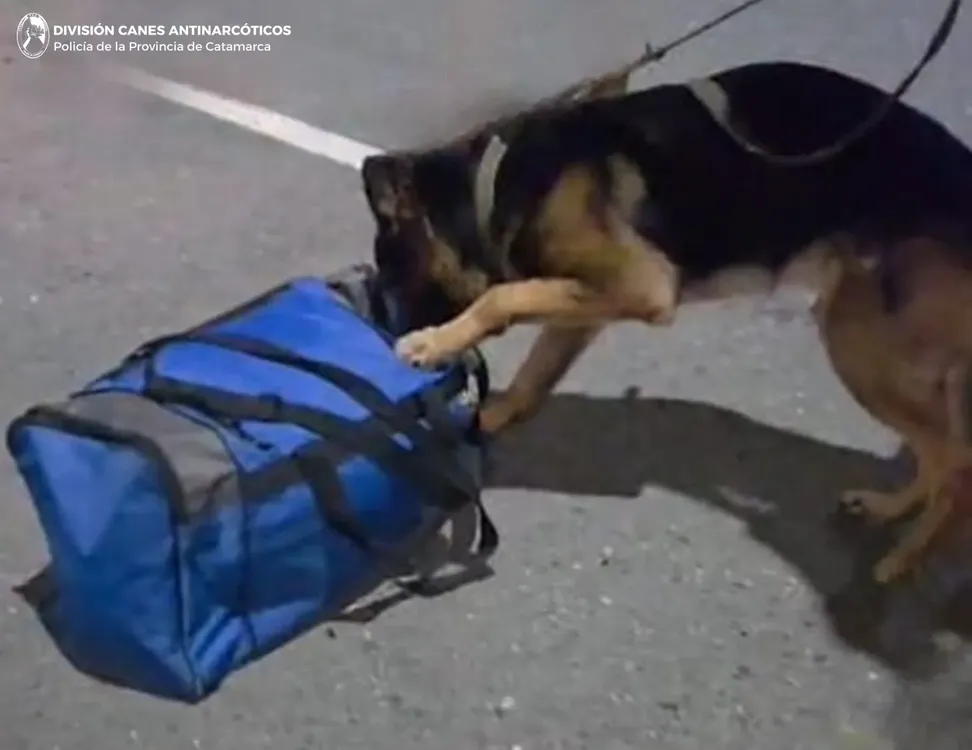 DIRECCIÓN DROGAS PELIGROSAS (2)